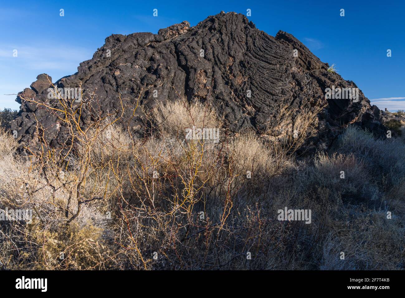 Pahoehoe lava looks like twisted rope in the Valley of FIres Recreation ...