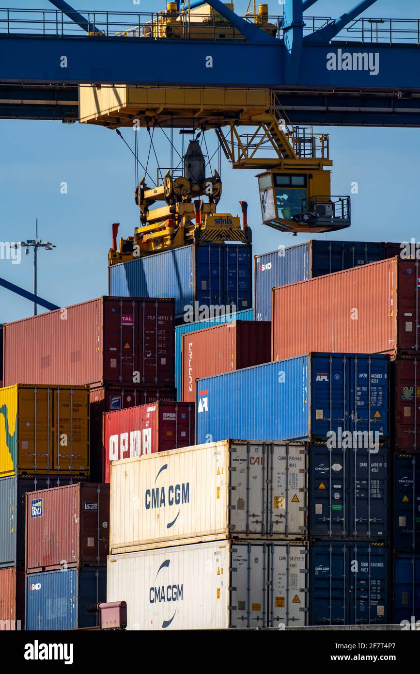 Container cargo ship in the harbour basin of the Logport, gantry cranes in the container handling centre, trimodal container terminal, in the Logport Stock Photo
