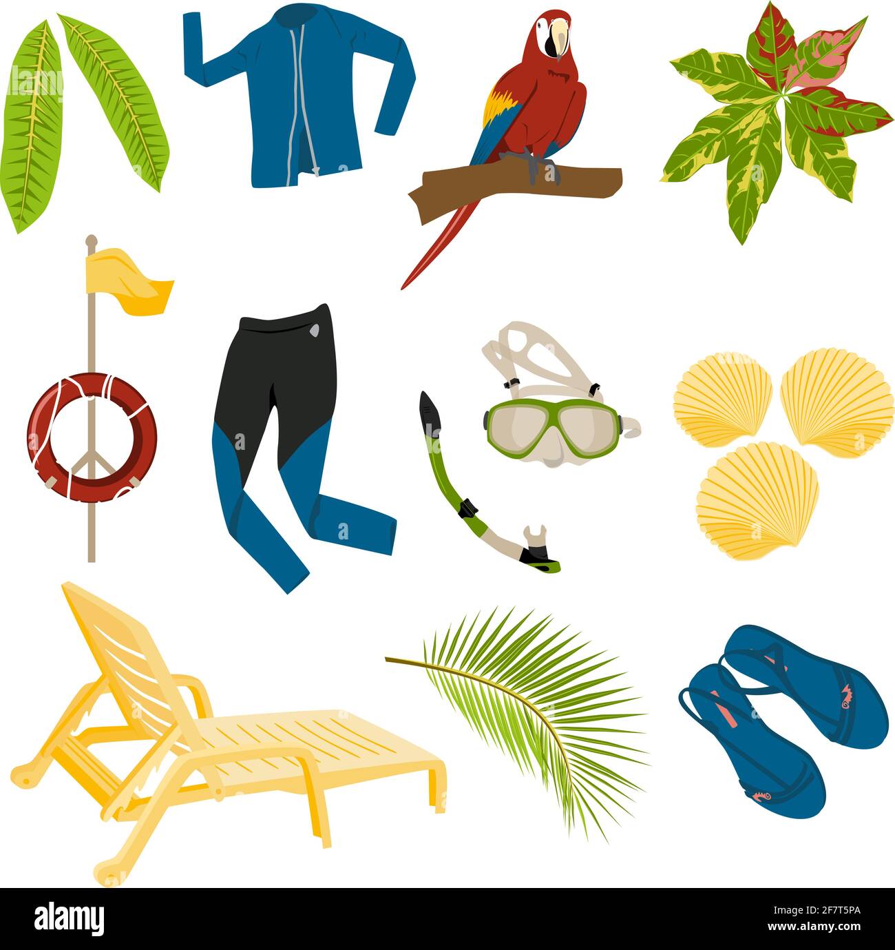 summer items set from tropical plants, parrot, swimming suit for surfing, swimming mask, snorkel, shells, sun lounger, flip flops, lifebuoy isolated, Stock Vector