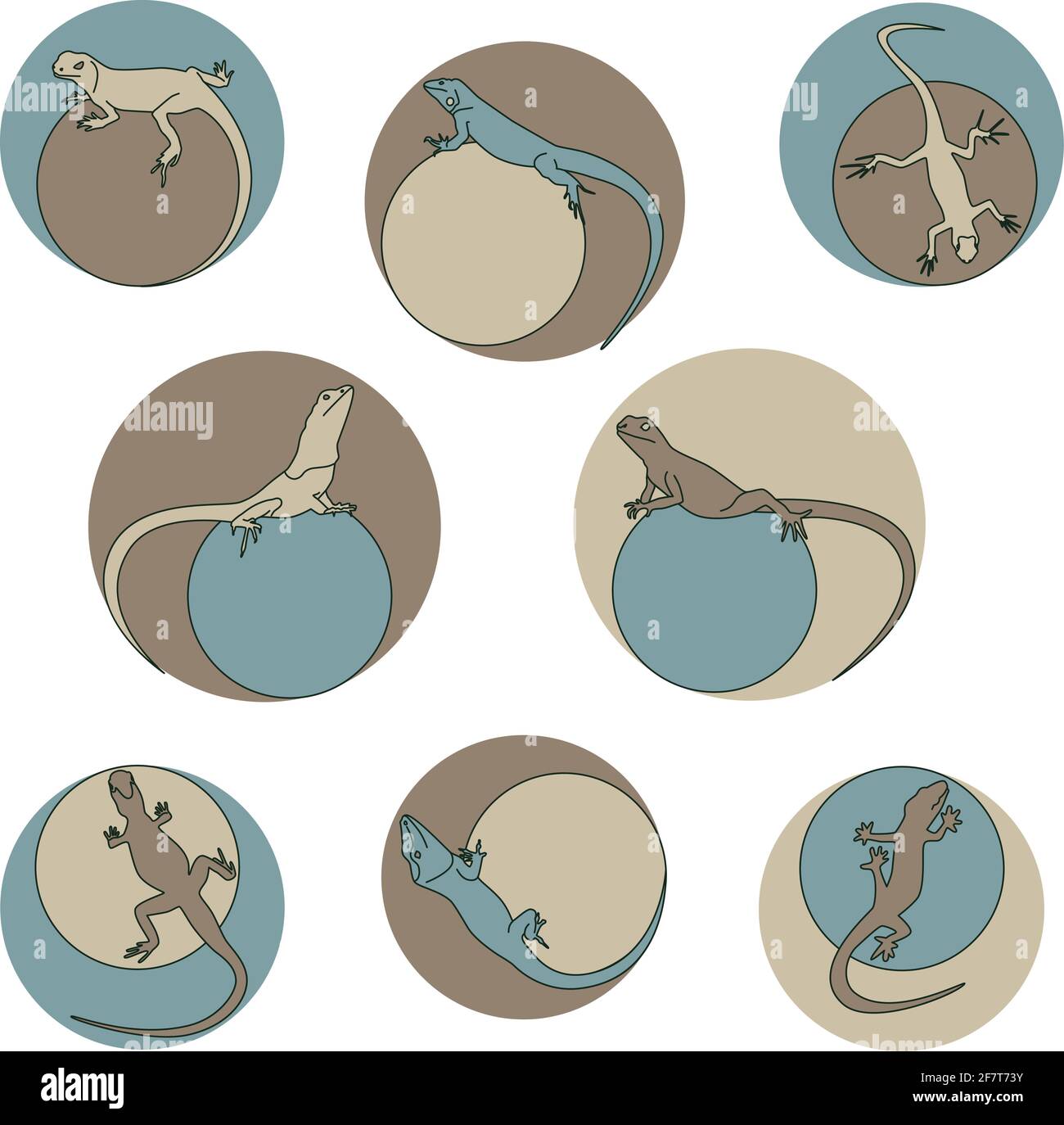 set of different lizards round frame earth colors vector illustration Stock Vector