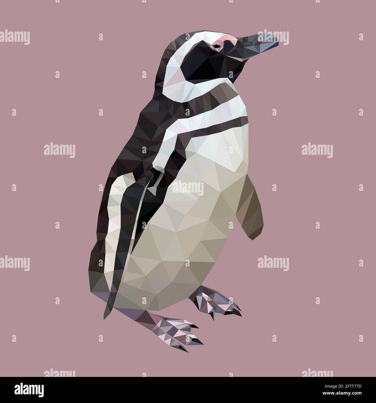 magellanic penguin in low poly technique vector illustration Stock Vector