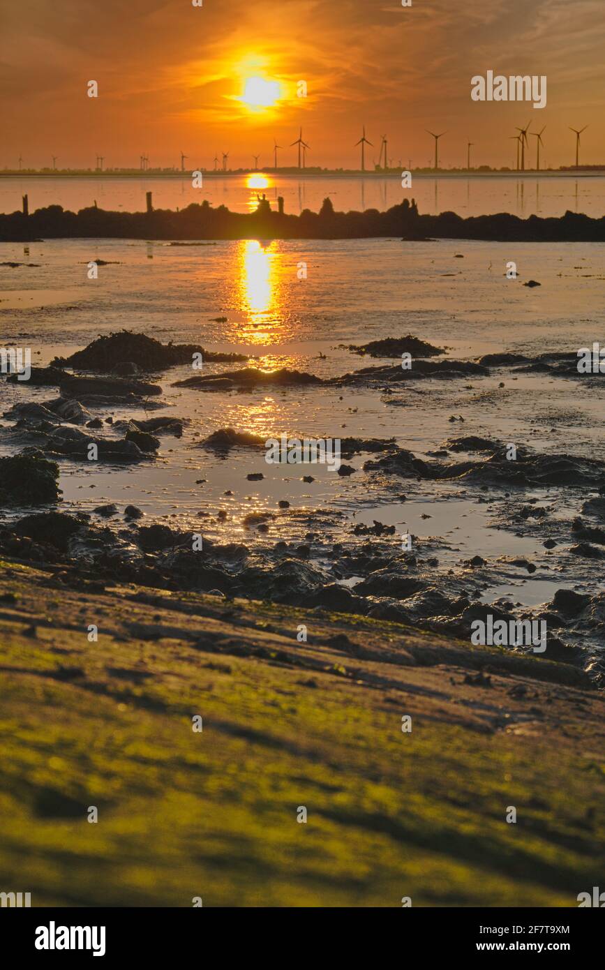 Niemand High Resolution Stock Photography And Images Alamy