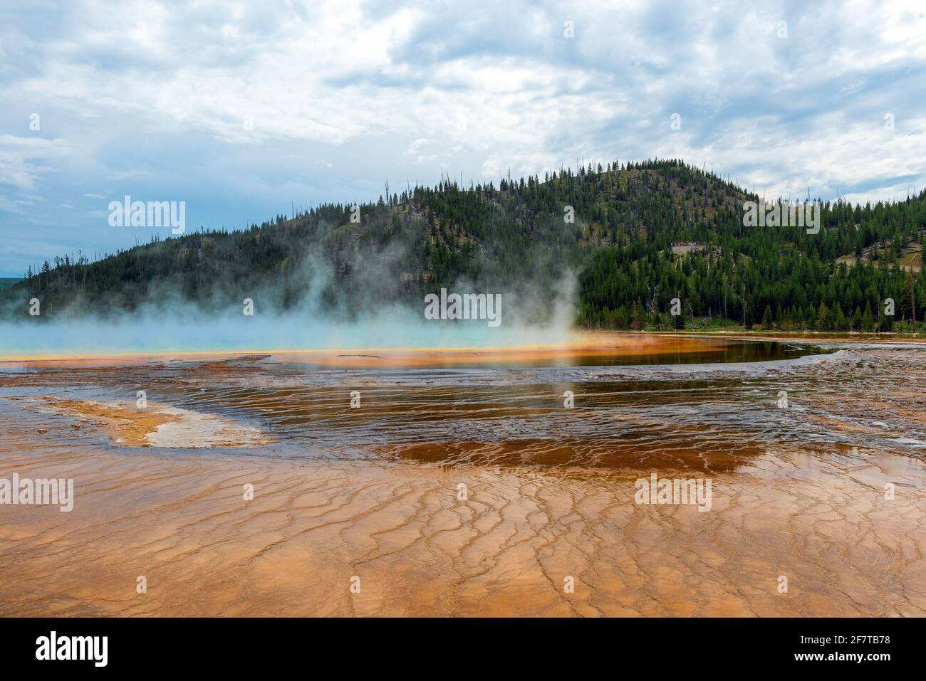 Grand Prismatic Spring with steam, Midway Norris Geyser Basin, Yellowstone national park, Wyoming, USA. Stock Photo
