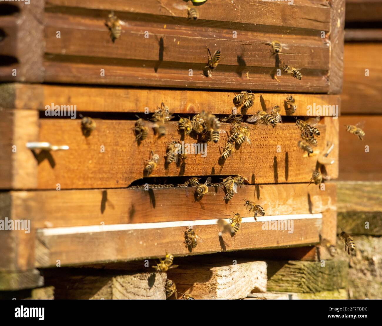 Closeup entrance hi-res stock photography and images - Alamy