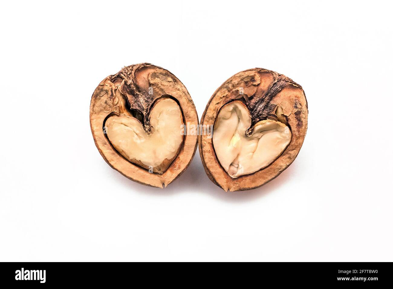 Halves of a walnut in the shape of a heart isolated on a white background. Stock Photo