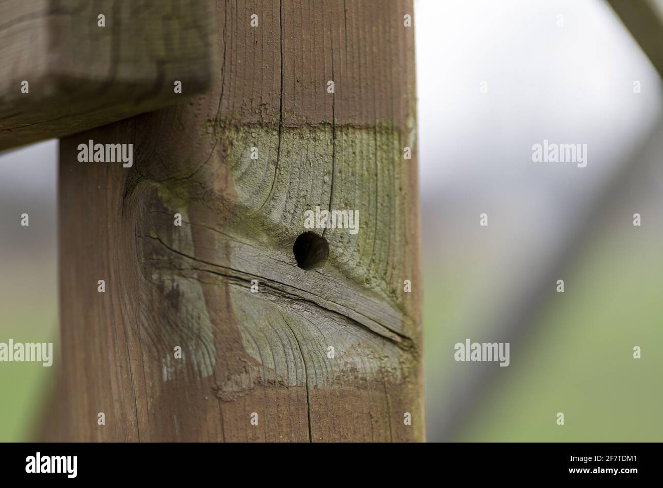 Hole in a wooden fence Stock Photo Alamy