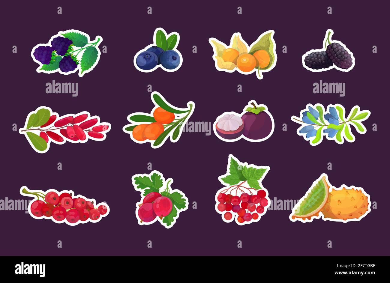 set fresh juicy berries tasty ripe fruits icons collection healthy food ...