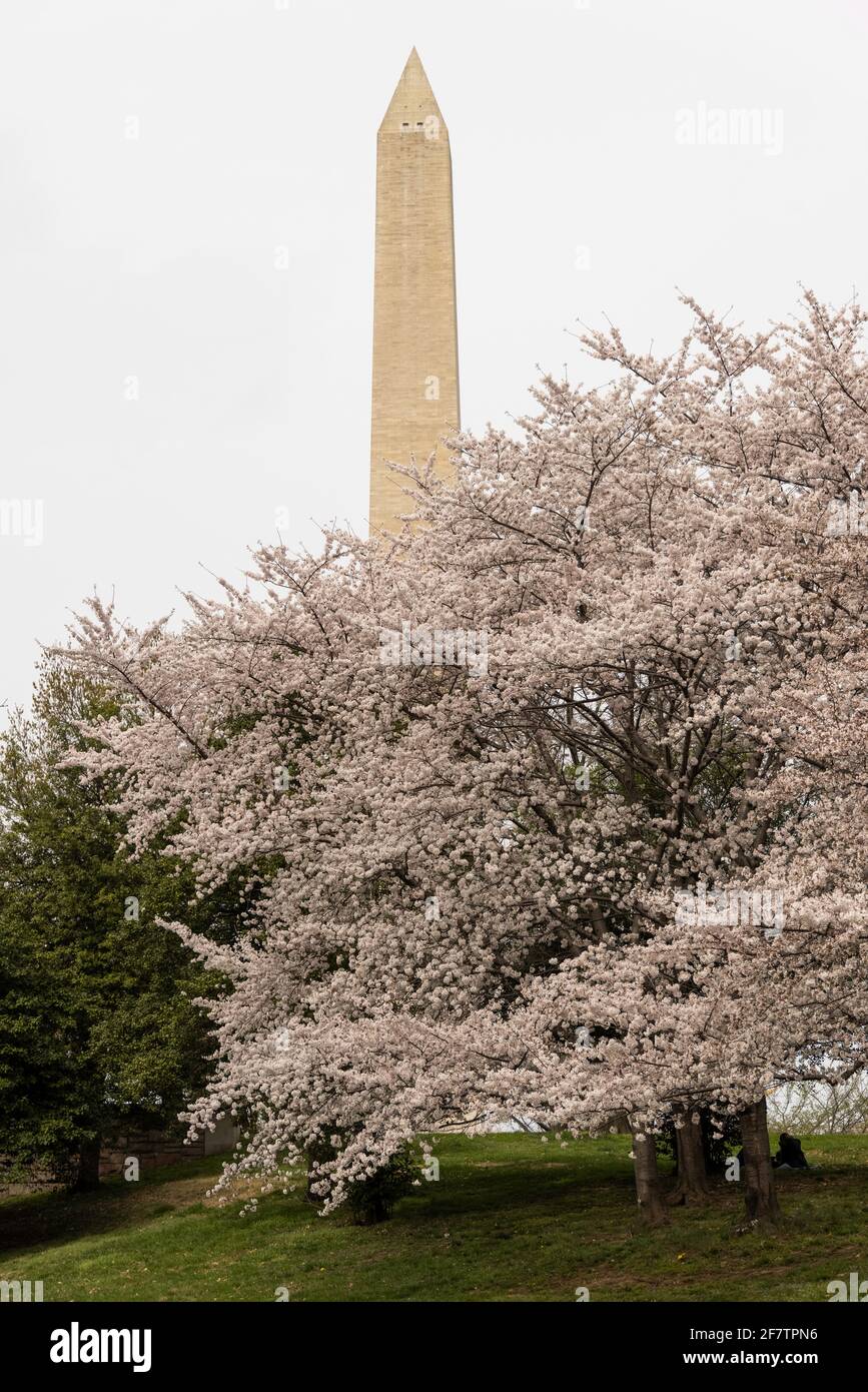 Presidents park washington hi-res stock photography and images - Alamy