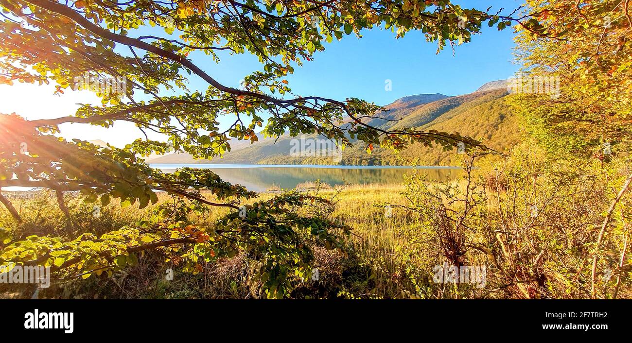 Glorious view behind golden hi-res stock photography and images - Alamy