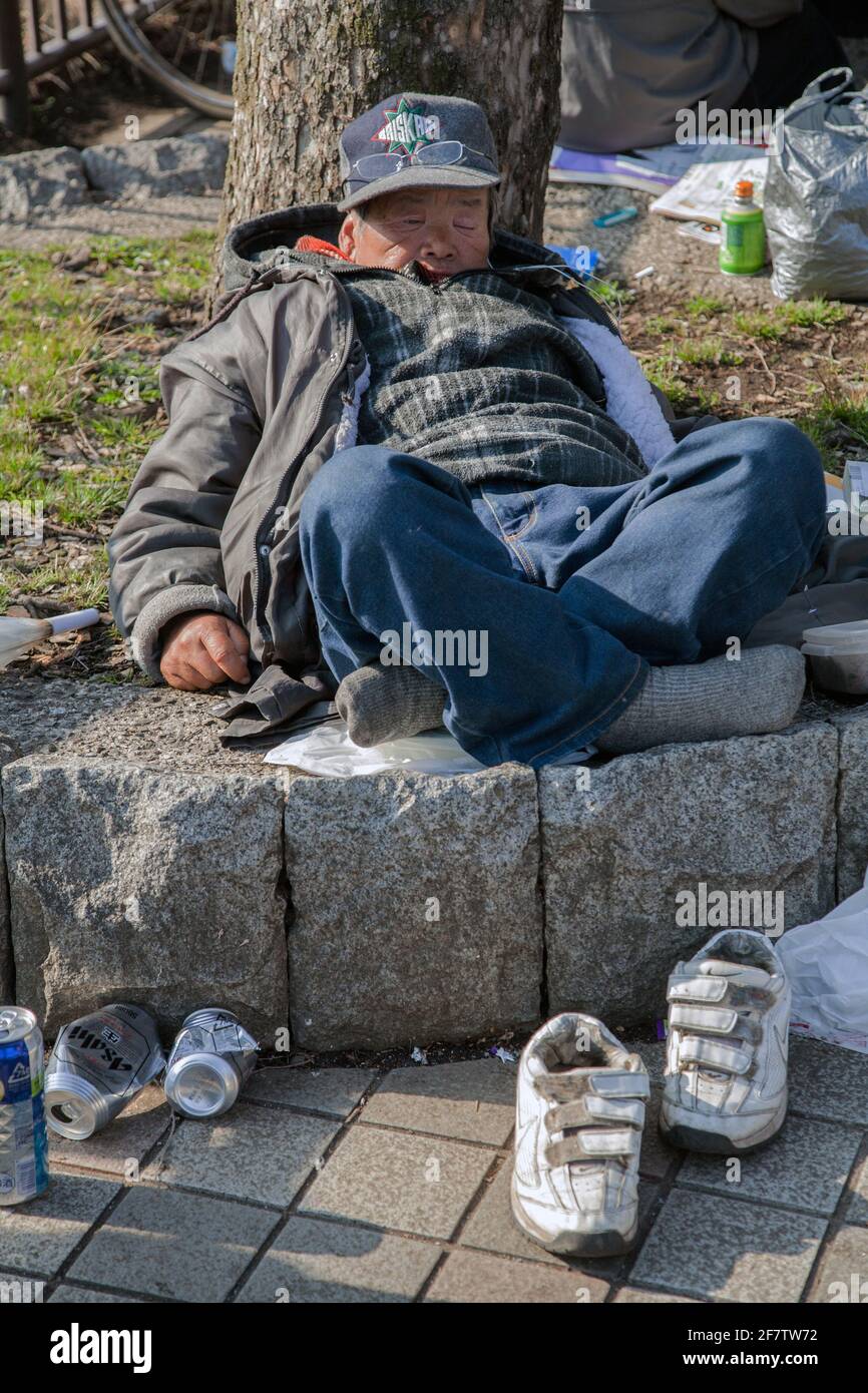Homeless Japanese man sleeping in sunshine after downing beer cans, Ueno Park, Tokyo, Japan Stock Photo