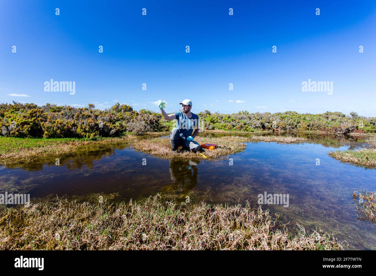 Scientist measuring environmental water quality parameters in a wetland. Stock Photo