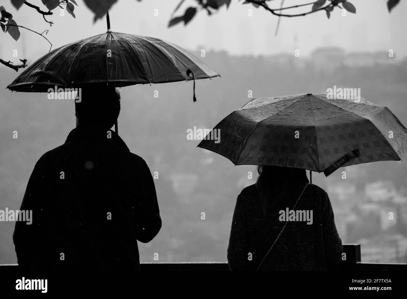 Grayscale shot of a male and female standing with umbrellas during the rain on a foggy day Stock Photo