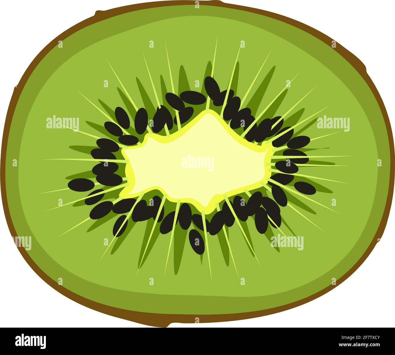 Kiwi icon. A source of vitamin C. Healthy exotic fruit with seeds. Delicious snack or dessert. Stock Vector