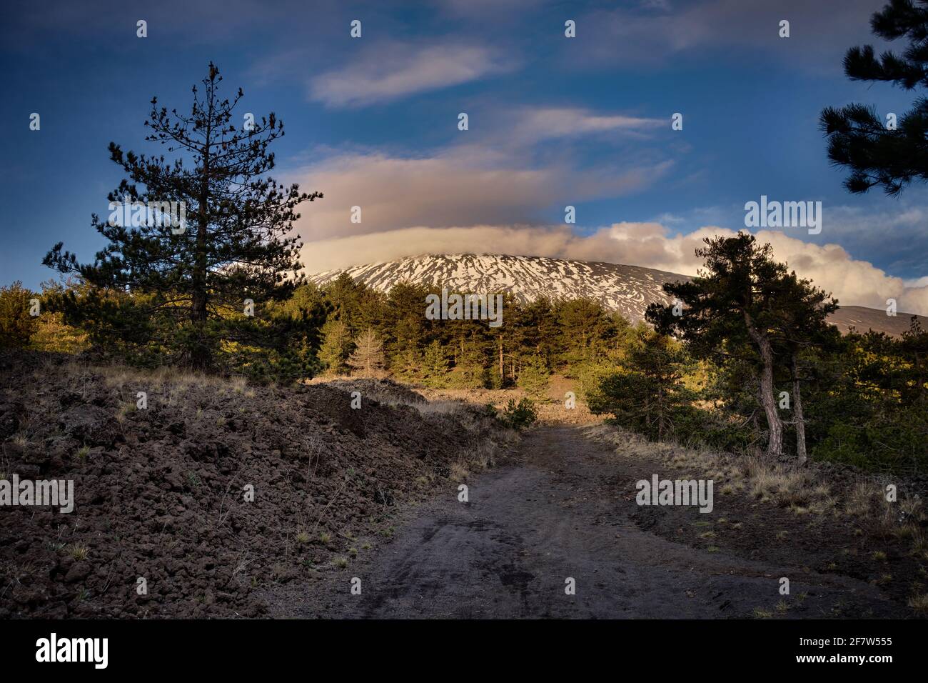 landmark of nature in Sicily it's mountain landscape of Etna Park dirt road crosses old lava and pine forest on background slopes of the volcano snow Stock Photo