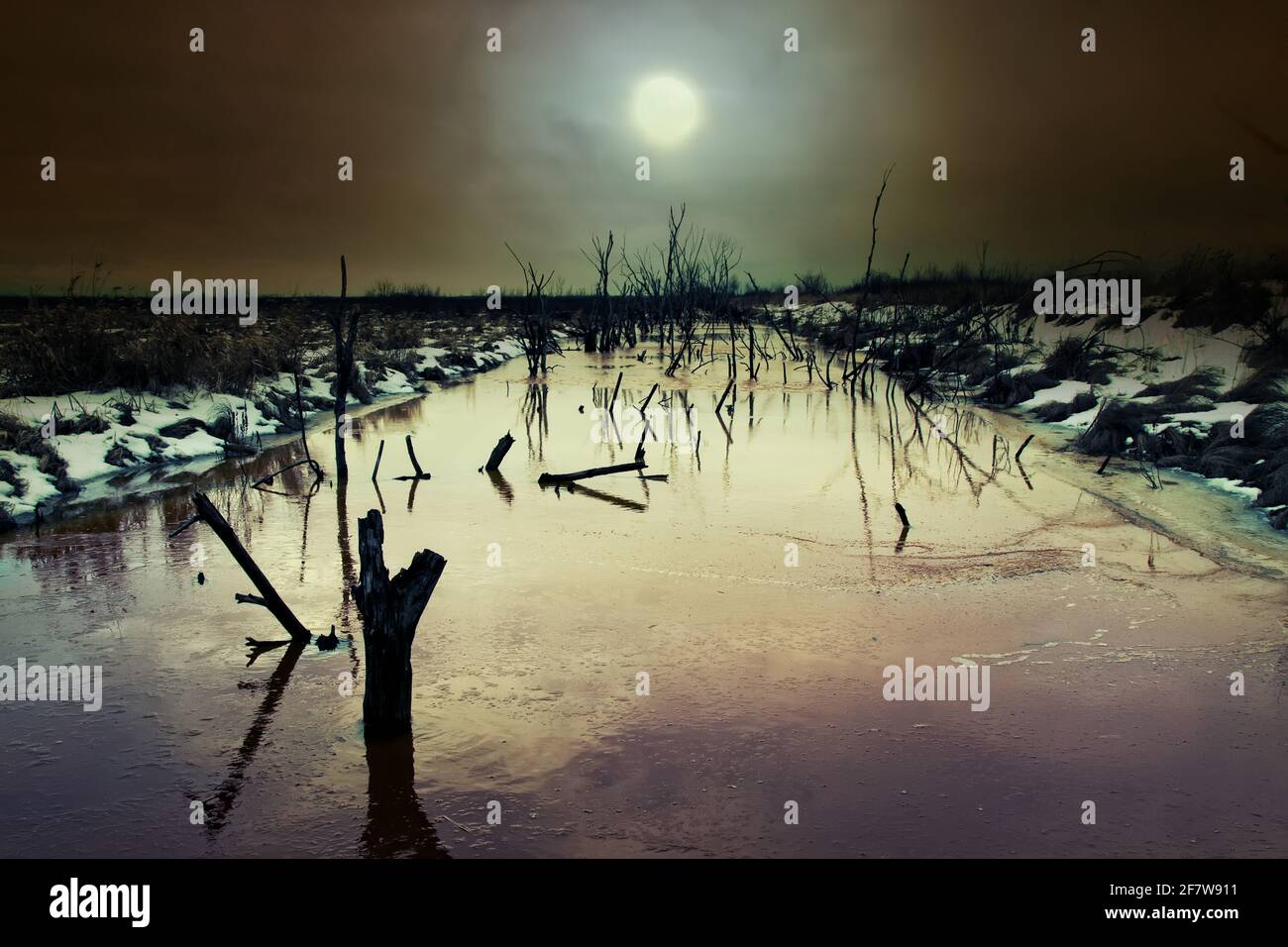 Old rotten tree trunk by canal hi-res stock photography and images - Alamy