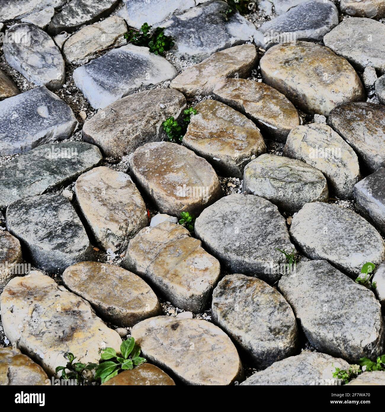 Ground covered with pebbles, Cathedral square, Viviers, Ardeche, AURA ...