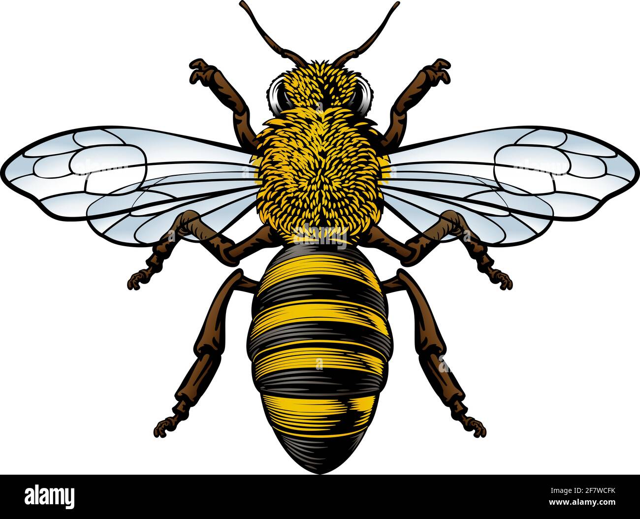 Honey Bumble Bee Vintage Woodcut Engraving Etching Stock Vector