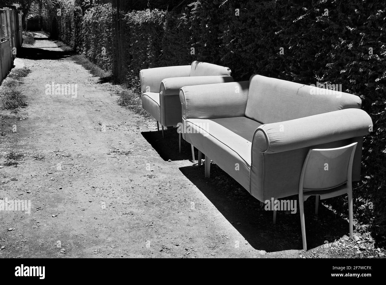 Black and white still life photo of an abandoned couch set and a chair standing on a public pathway next to a hedge, no people are visible Stock Photo