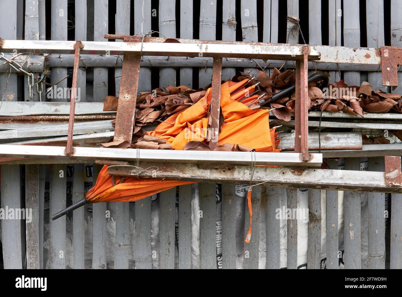 Close-up of an old orange colored folded umbrella squeezed behind a ladder and covered with many old leafs on a building fence, Asia Stock Photo
