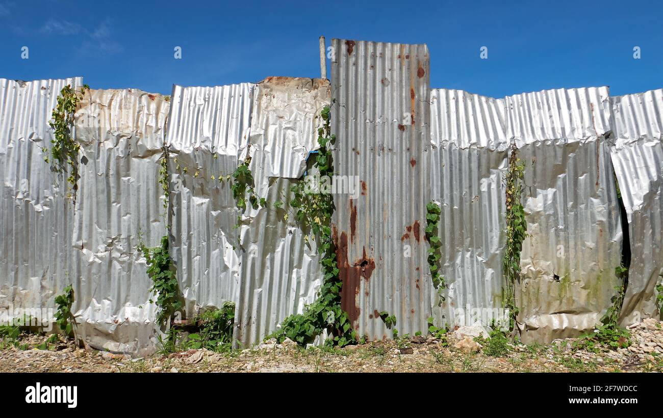 Corrugated fence 2024