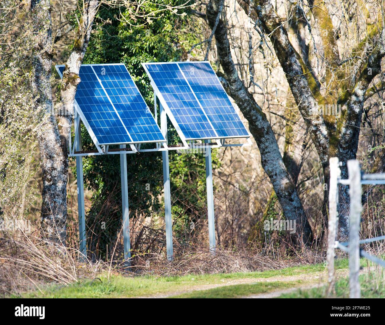 Solar panels, photovoltaic - alternative electricity source . Stock Photo