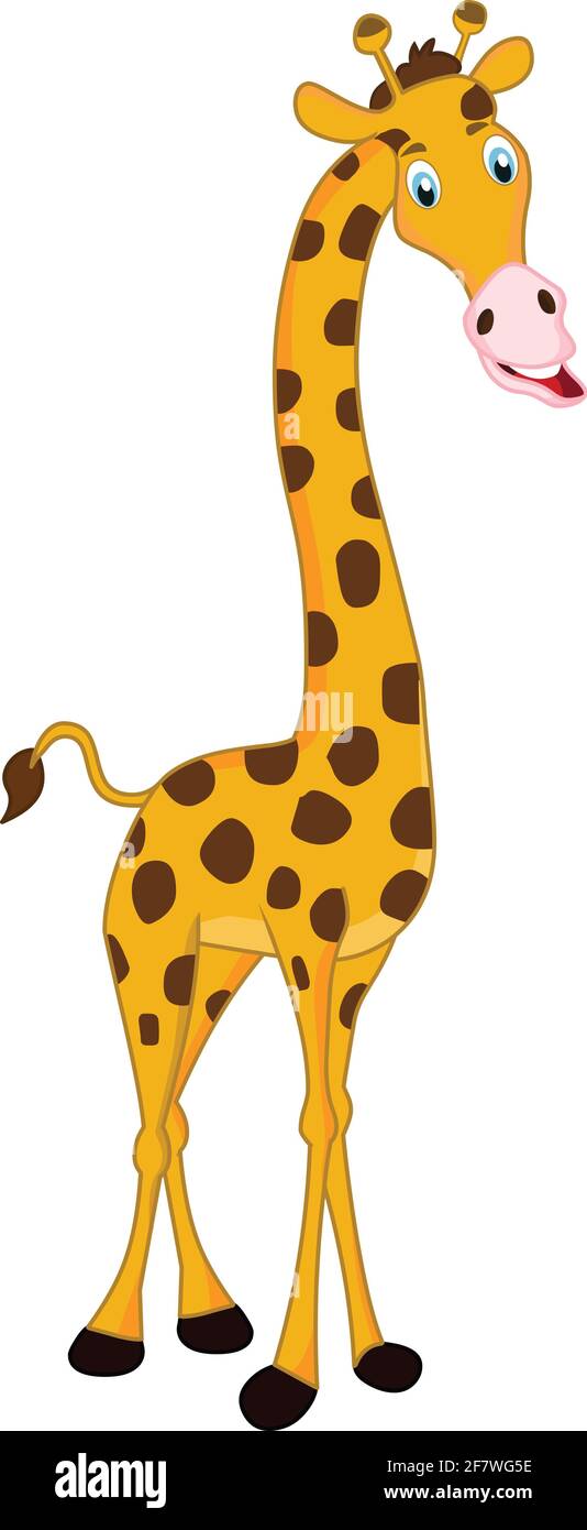 Giraffe Wild animal cartoon vector isolated on white background Stock Vector Image & Art - Alamy Giraffe Wild animal cartoon vector isolated on white background Stock Vector Image & Art - Alamy