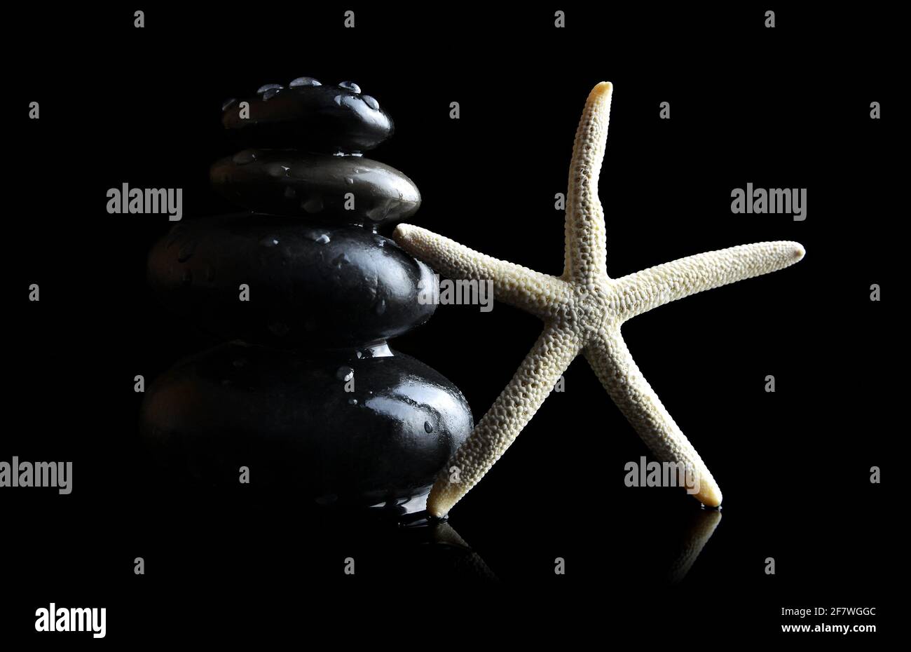Water drops on black zen pebbles and white starfish. Spa and healthcare concept. Stock Photo