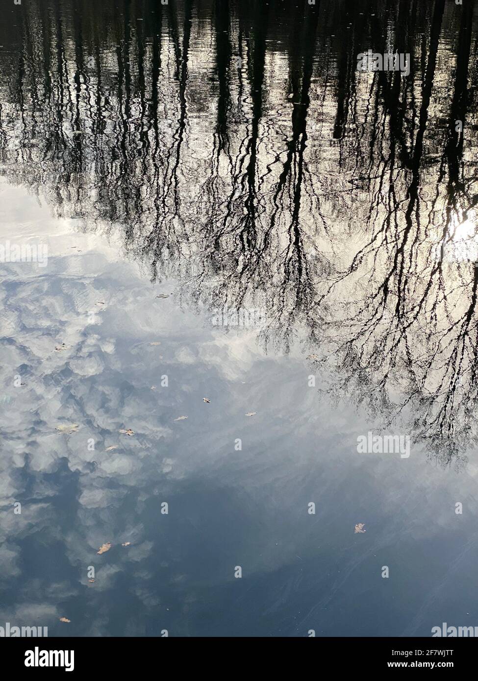 sky, clouds, birds and trees reflection on still water during a winter day Stock Photo
