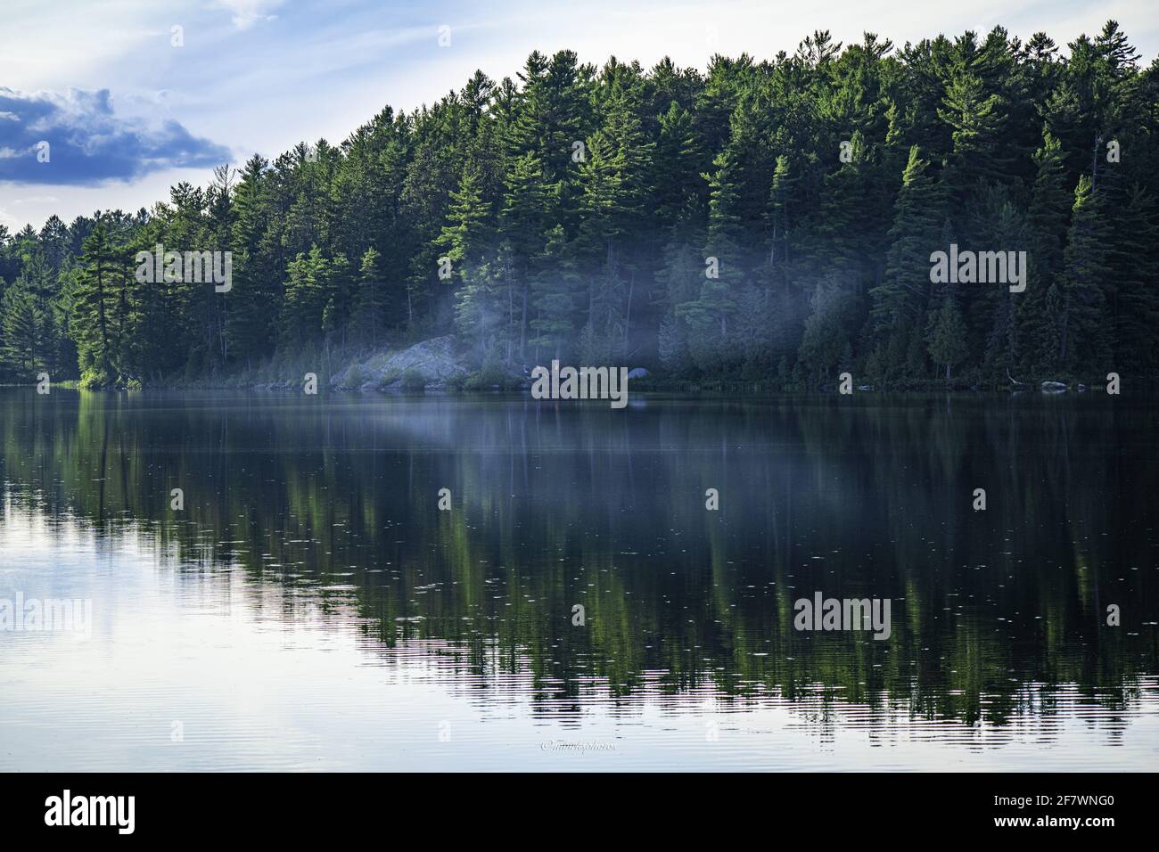 Scenic shot of mountain forest beautiful reflection on water Stock ...