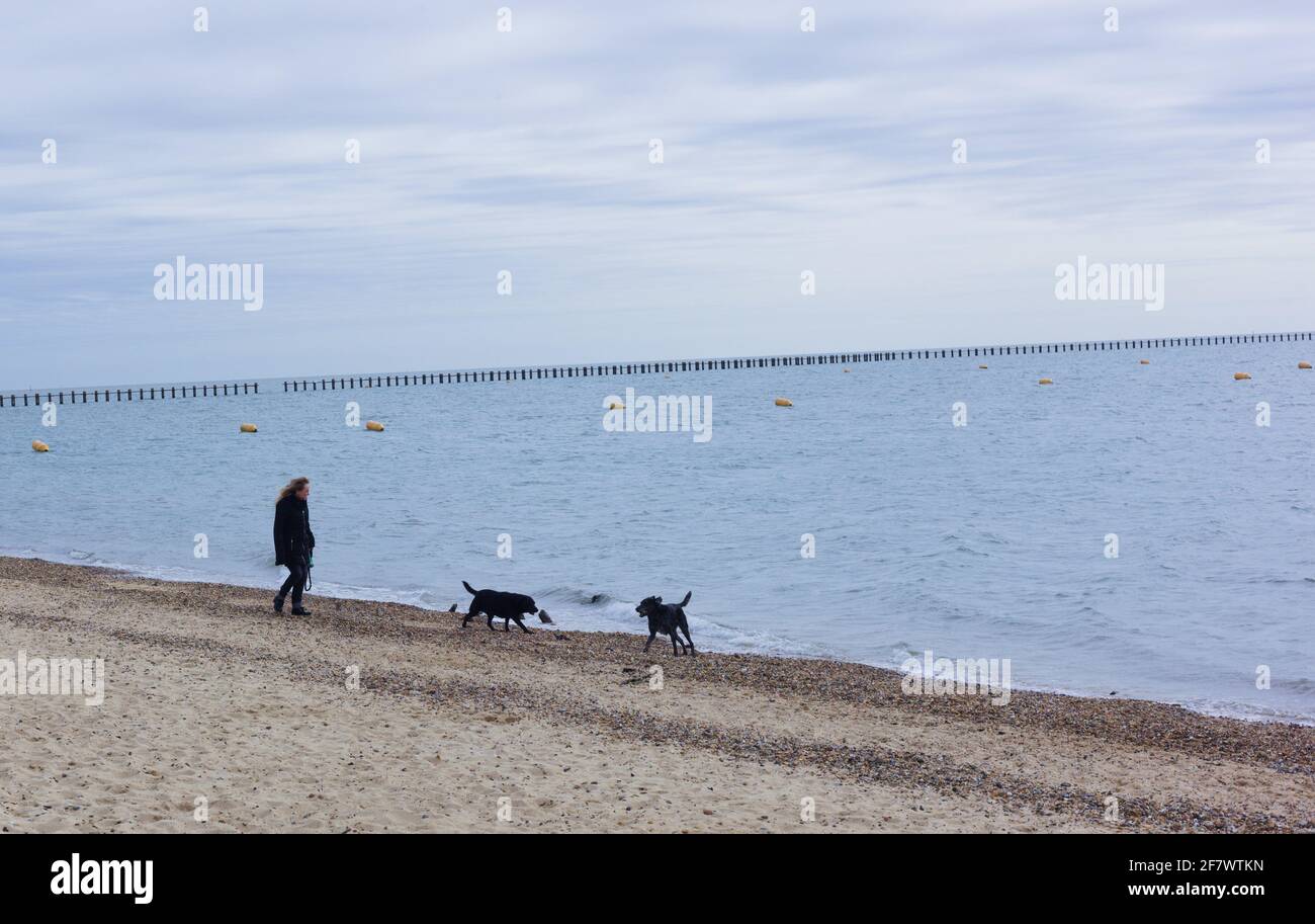 Woman walking her dog along Shoebury beach, Essex, Britain, April 2021