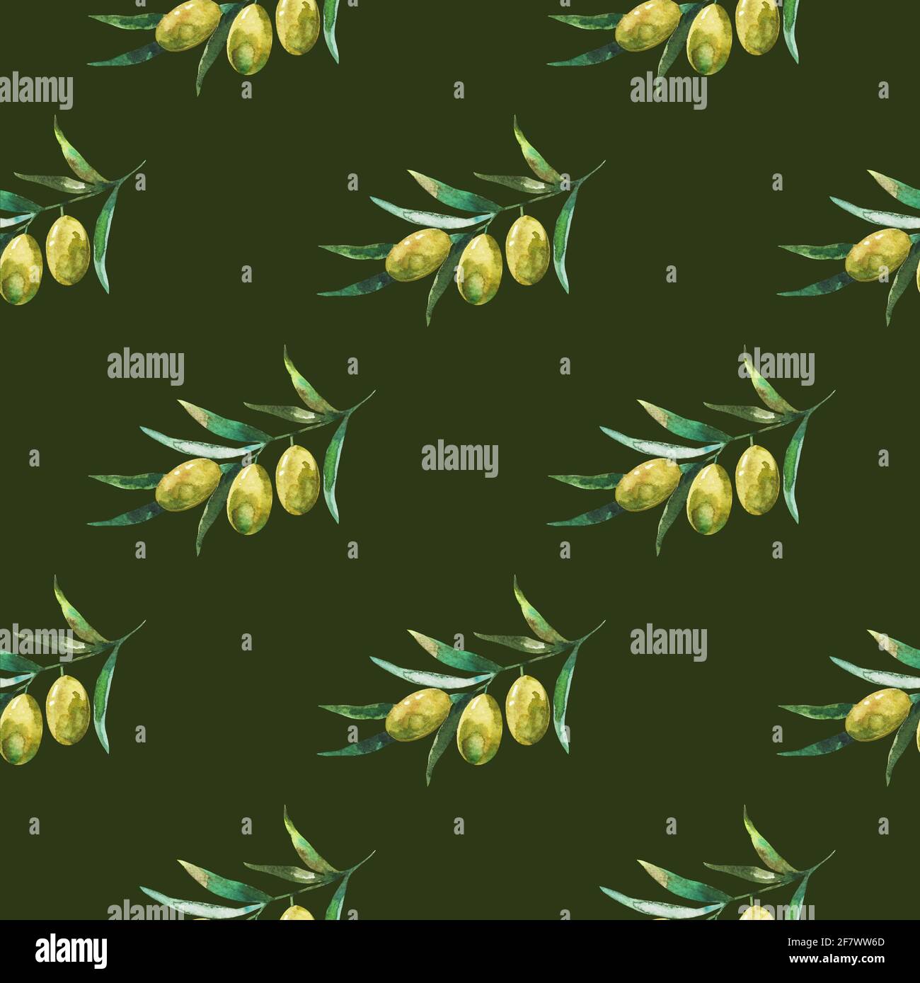 Seamless pattern with olive branches and olives. Watercolor hand ...