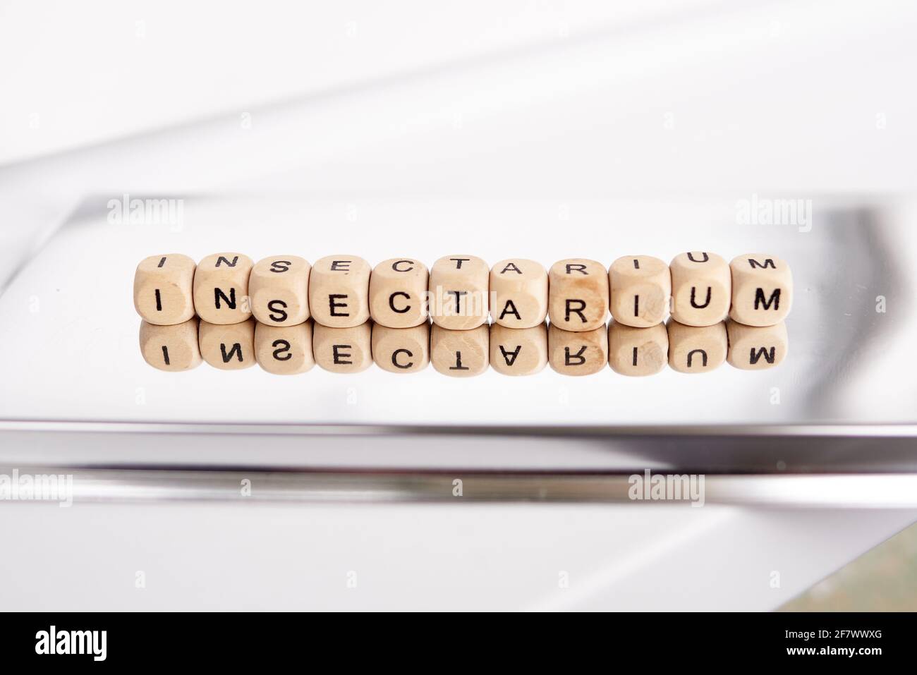 Garden and insectarium hi-res stock photography and images - Alamy