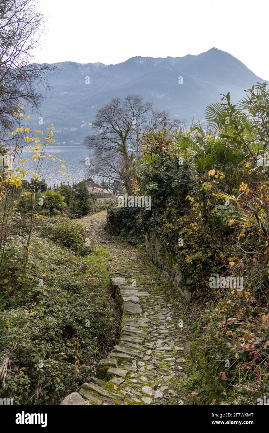 Vertical shot beautiful pathway hi-res stock photography and images - Alamy