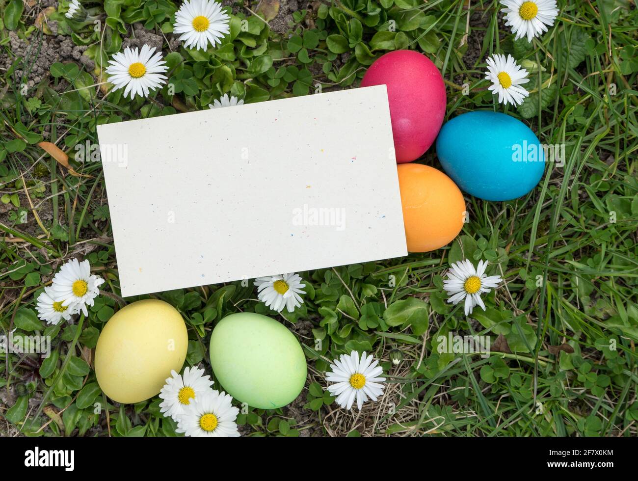 greeting card with easter eggs and copy space Stock Photo