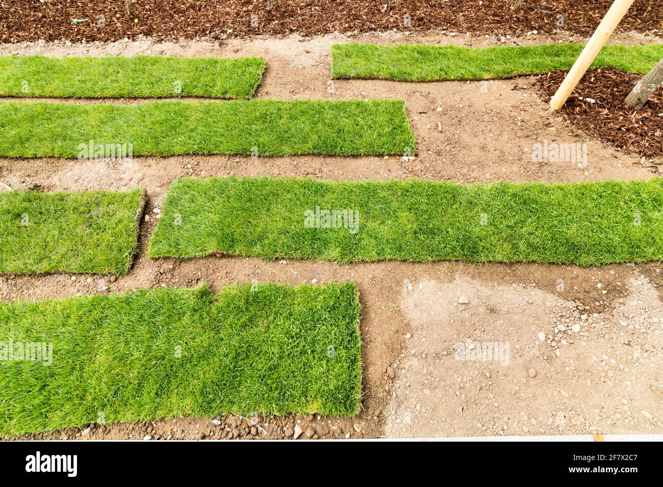 the new super green lawn is laid quickly with ready rolled turf