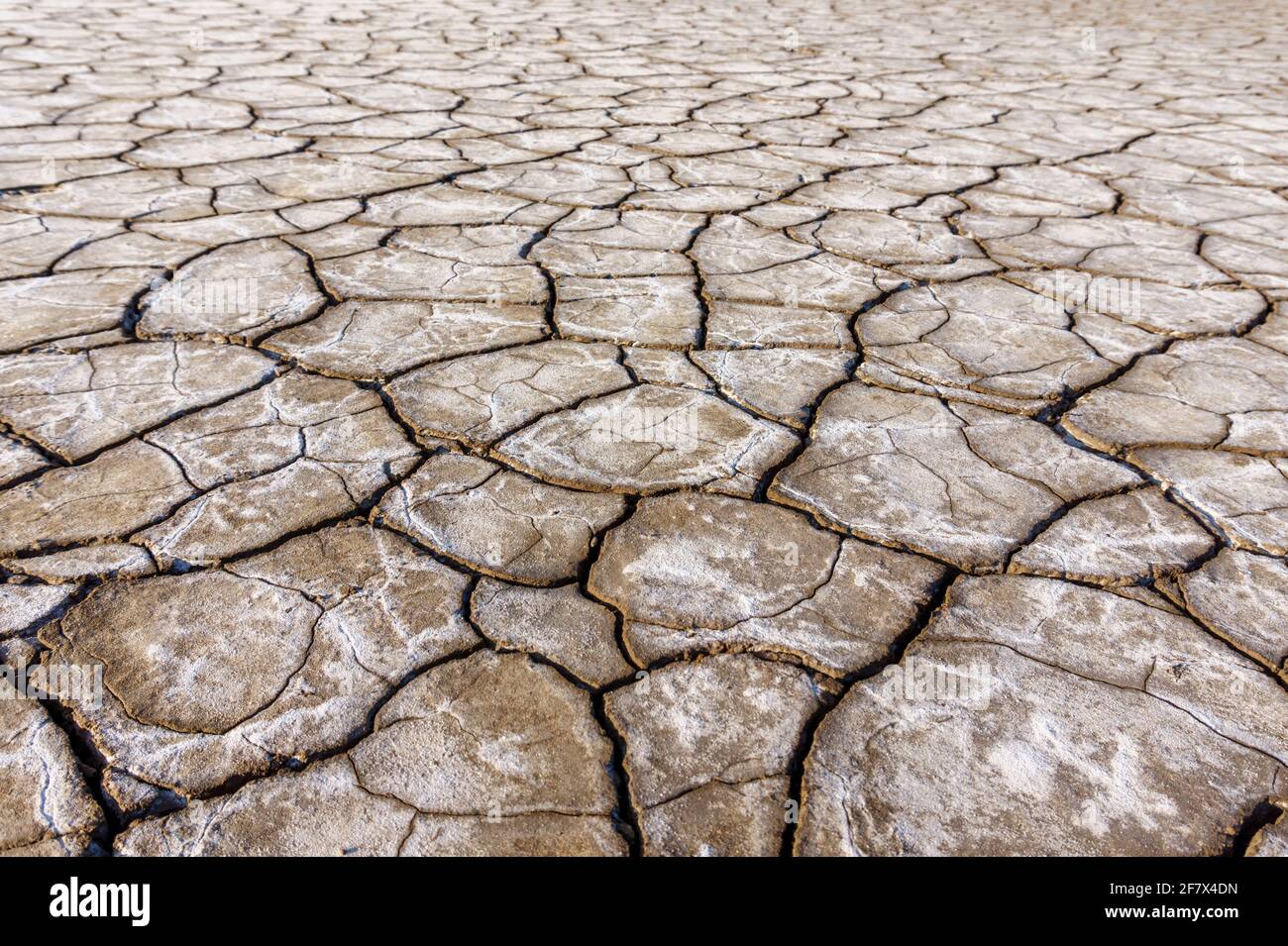 cracks of dry earth and clay with salt. texture Stock Photo