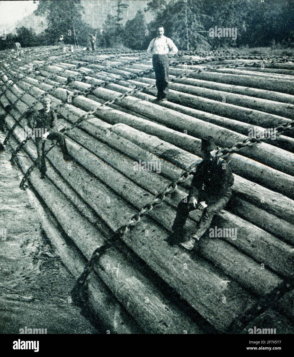 This 1903 photo shows a log raft with  logs representing a year’s work of a camp crew. Stock Photo