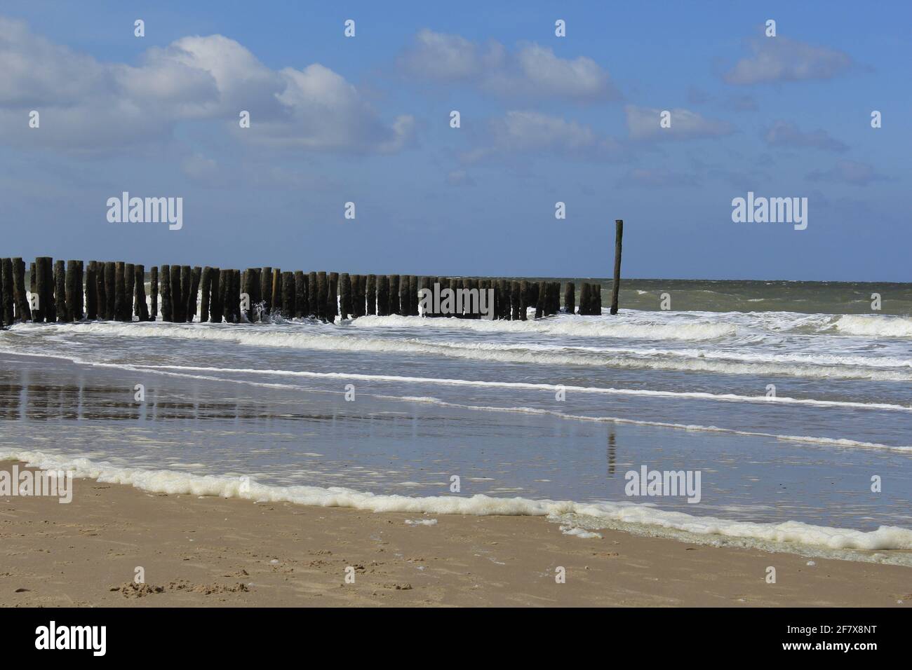 a beautiful seascape at the dutch coast in breskens with a row breakwaters in the westerschelde sea with waves rolling at the sand beach Stock Photo