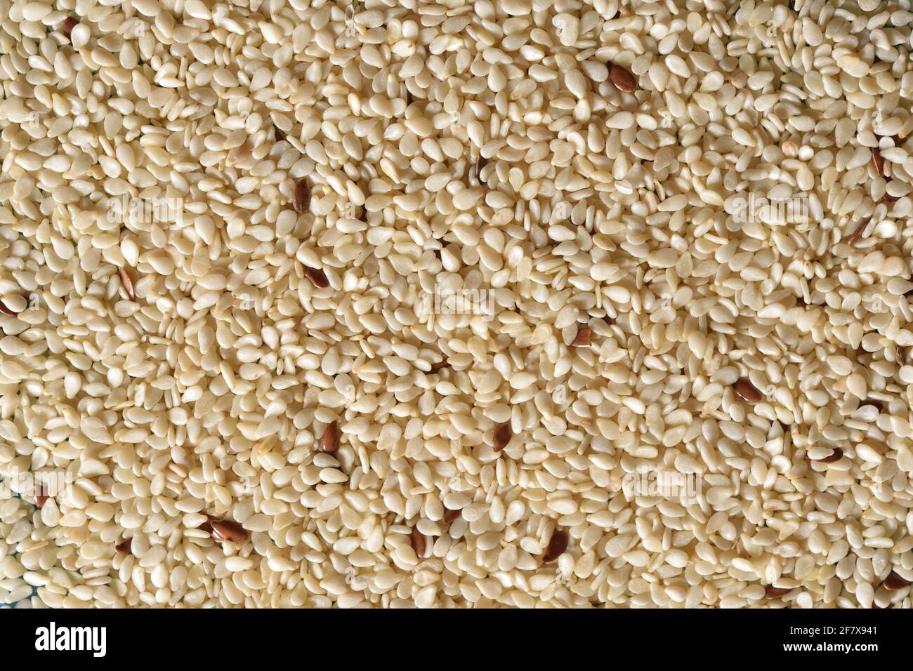 Spicy grains of sesame seasoning, full frame cover Stock Photo