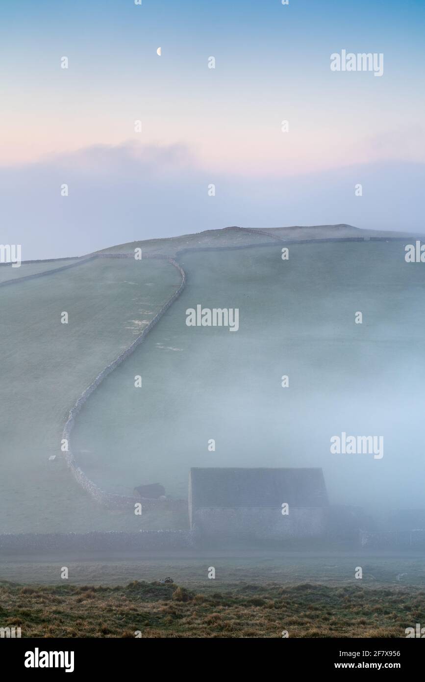 A field barn is just visble through the mist as a temperature inversion in The Yorkshire Dales National Park begins to clear at sunrise. Stock Photo