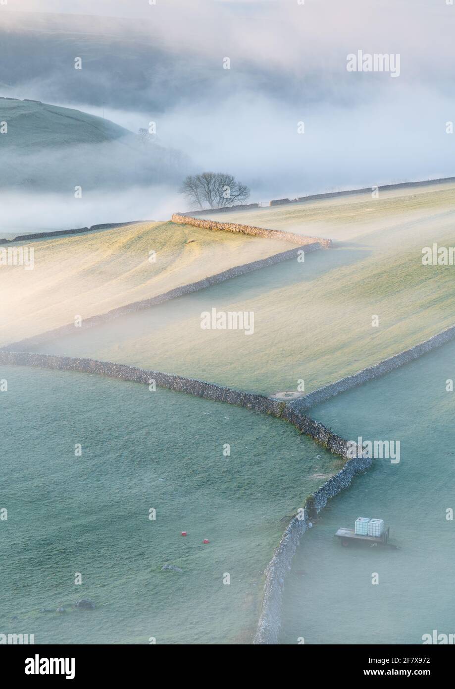 Dry Stone Walls crisscross the rural landscape beneath Malham Lings in The Yorkshire Dales National Park on a foggy spring morning. Stock Photo