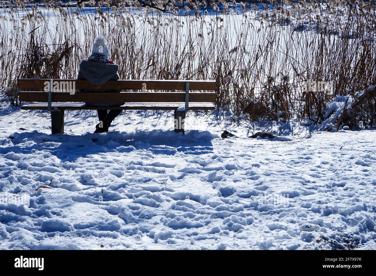 A young woman sits on a bench at the Klammerweiher pond in Bad Tölz. The pond served as a bathing lake for the kids of Nobel Prize winner Thomas Mann. Stock Photo