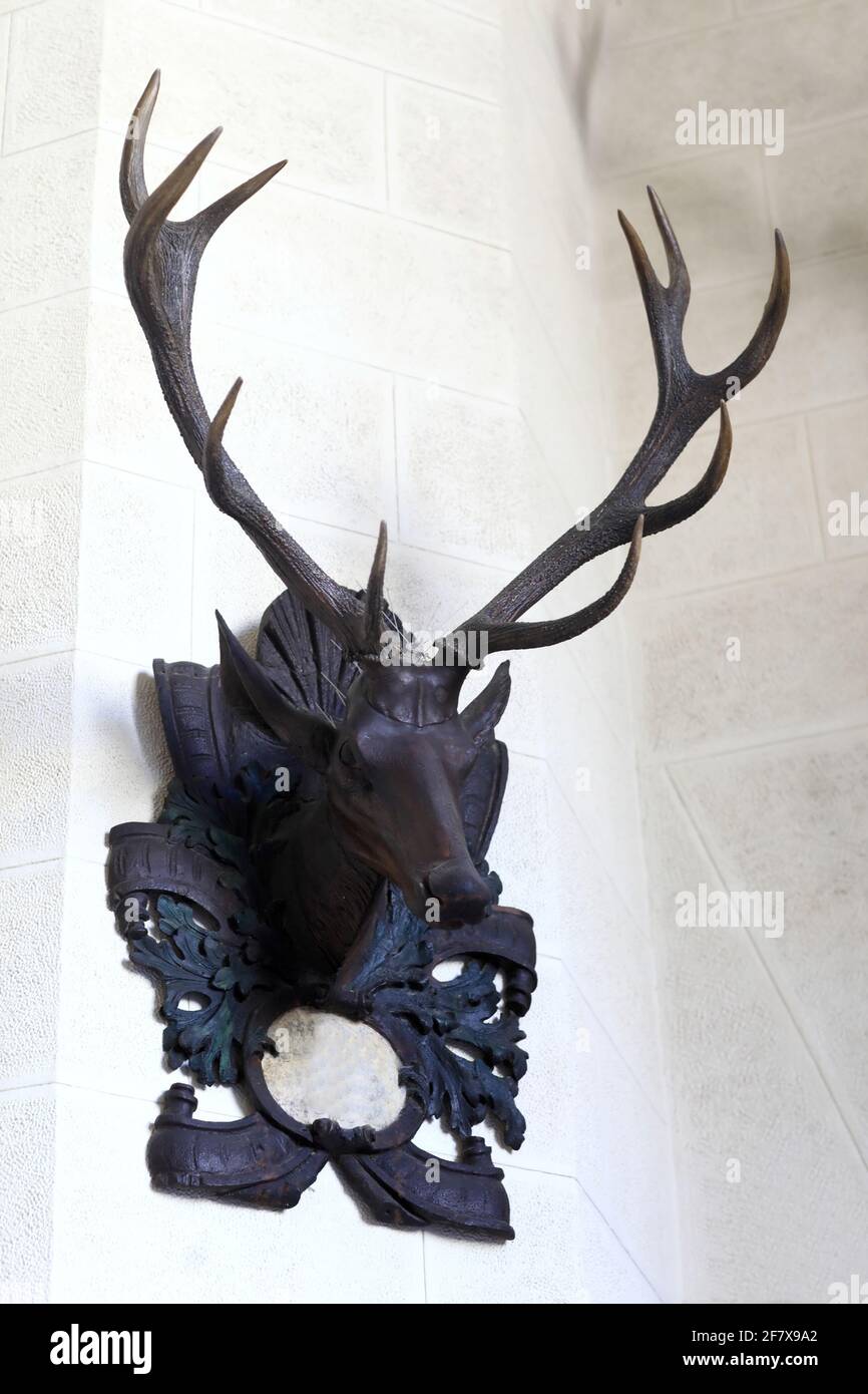 Details of deer head on the wall of a palace Stock Photo Alamy