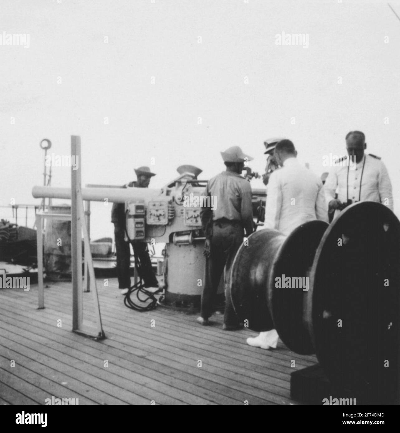 Ms rigel hi-res stock photography and images - Alamy