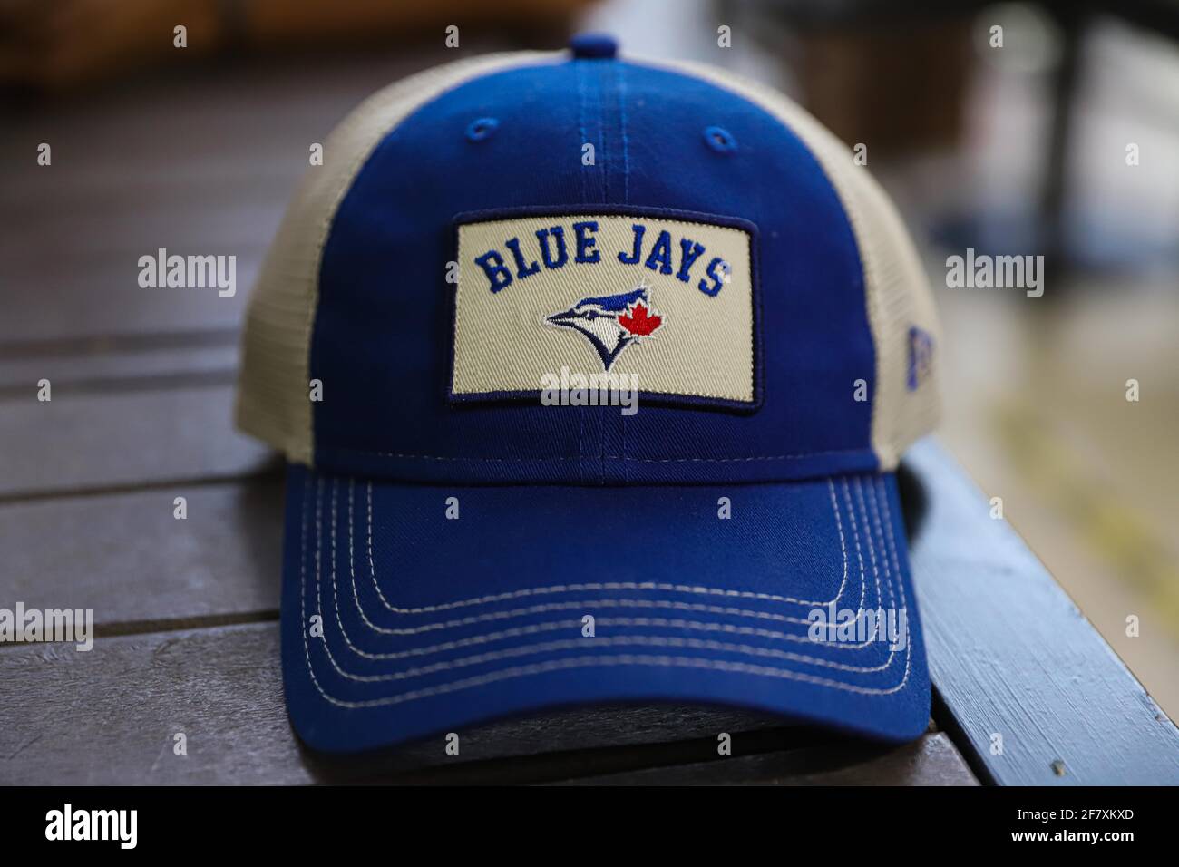 Toronto Blue Jays High Resolution Stock Photography And Images Alamy