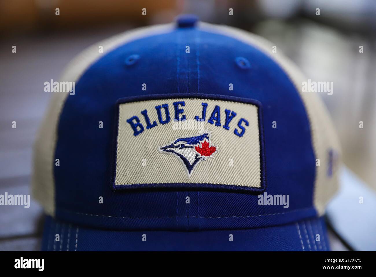 Toronto Blue Jays High Resolution Stock Photography And Images Alamy