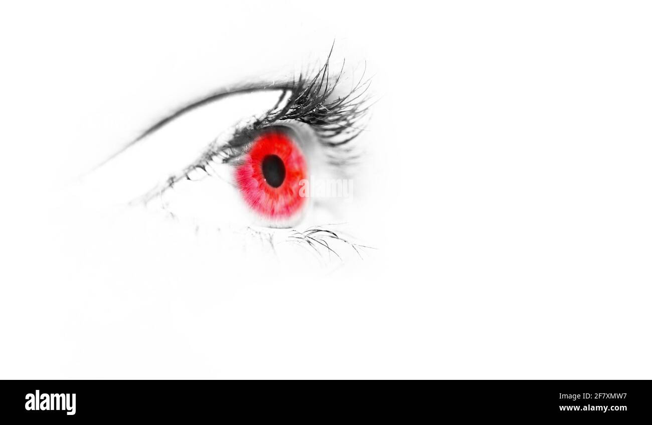 Vampire eye. Red pupil. Red eye isolated. Macro. The background is