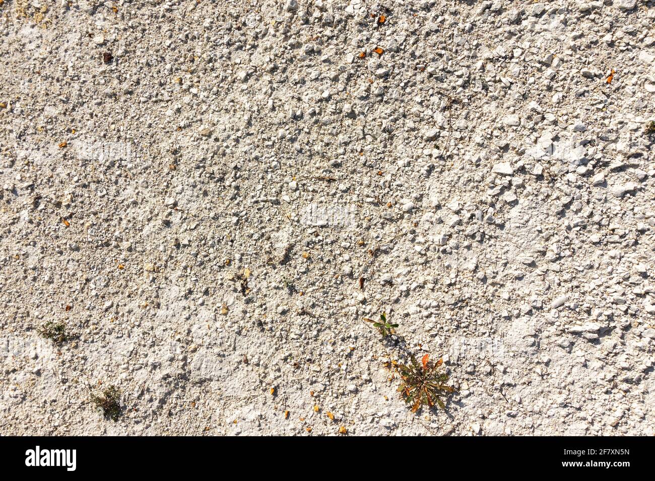 the surface in the area with chalk soil and growing there scarce plants.  Texture of earth Stock Photo - Alamy