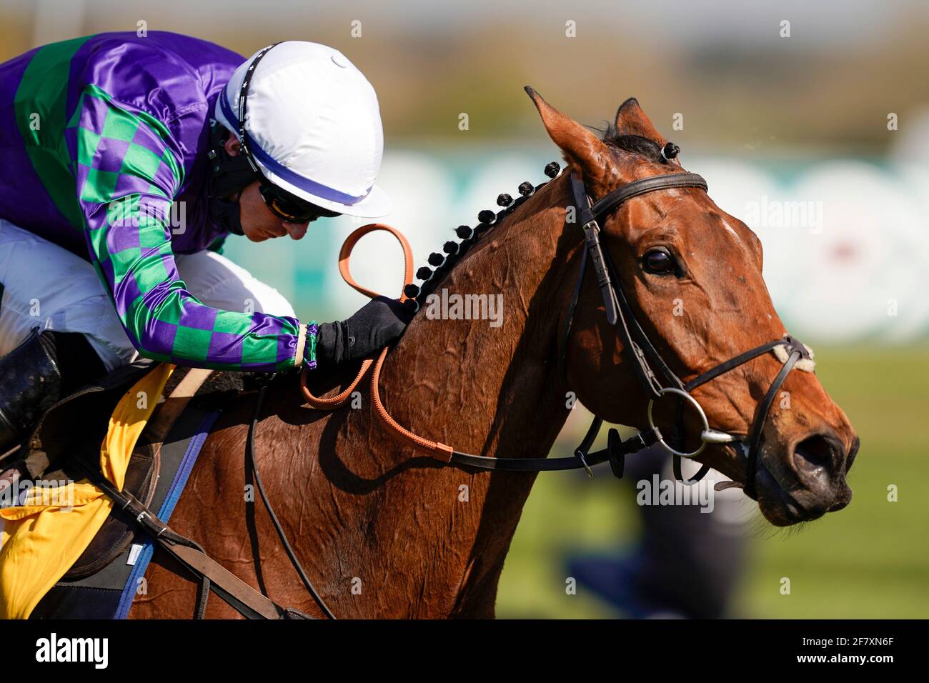 Aintree grand national 2021 hires stock photography and images Alamy
