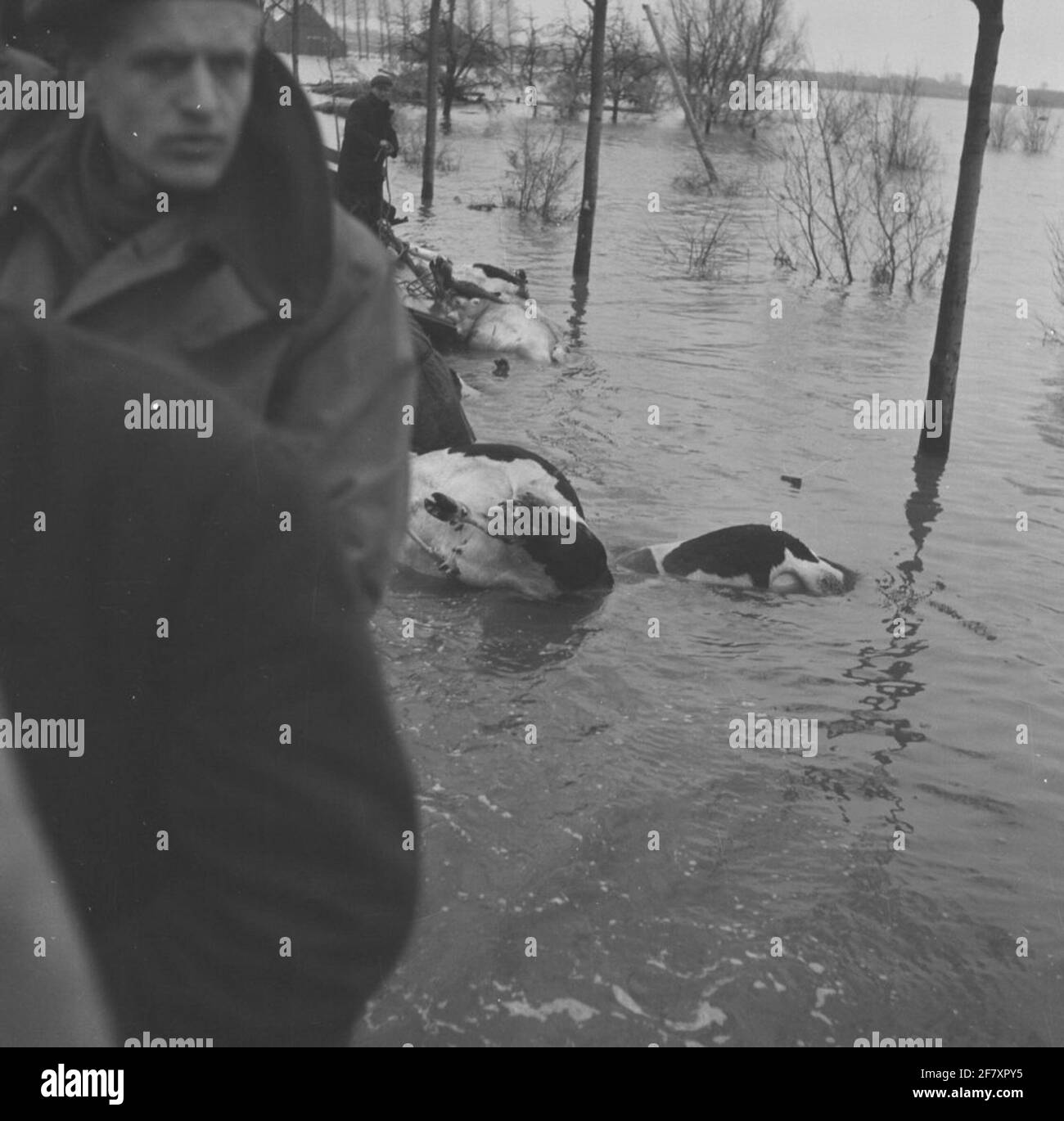 Watershortage disaster 1953. Soldiers in the area affected by the